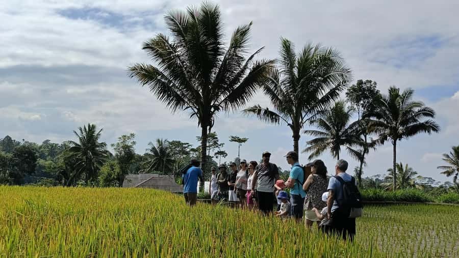 Lombok: Tetebatu Walking Tour with Monkey Forest & Waterfall - Spice Plantation + Traditional Coffee Tasting: What You’re Really Learning