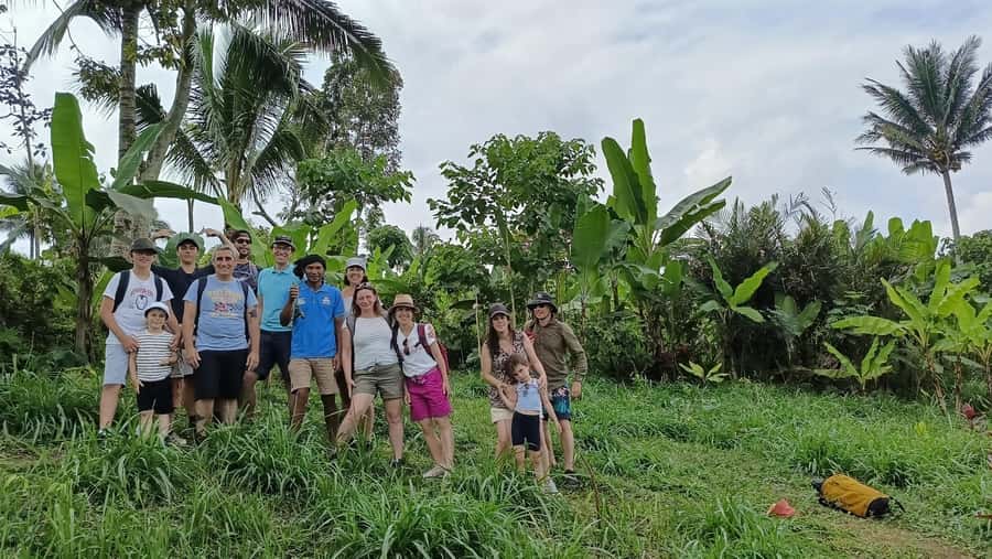 Lombok: Tetebatu Walking Tour with Monkey Forest & Waterfall - Getting There From Senggigi, Mataram, or Kuta (And Why Timing Matters)