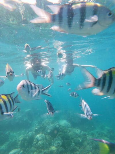 Lombok: the best snorkeling in Gili nanggu, kedis & sudak - Gili Nanggu snorkeling: blue and green coral plus lots of fish