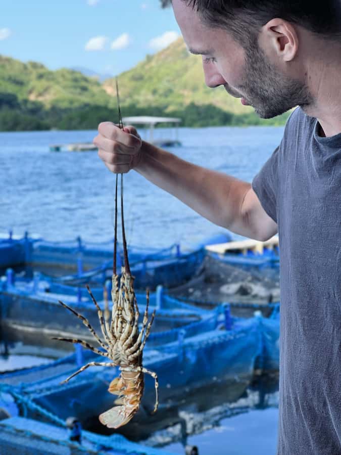 Lombok: the best snorkeling in Gili nanggu, kedis & sudak - Price and value: is $67 per person reasonable for eight hours?