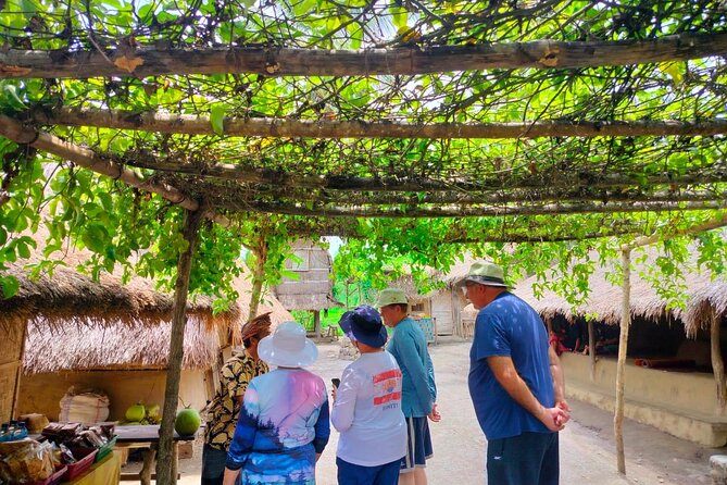 Lombok Tour For Cruise Passangers - Sasak Villages in the Sade/Ende Area: Clay, Cow Poop, and Real Houses