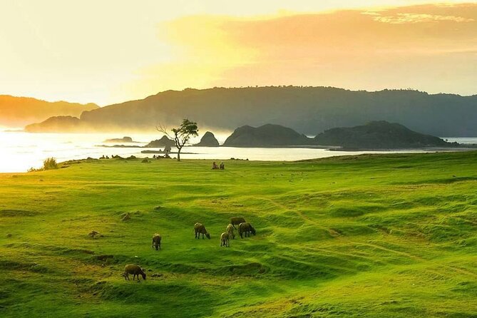 Lombok Tour For Cruise Passangers - Kuta Beach Photo Stop: Short, Scenic, and Mostly About Timing