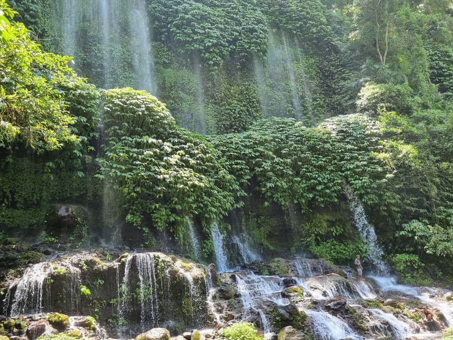 Lombok: Waterfall and Traditional Village Private Tour - Benang waterfalls: why the clear water and jungle walk feel like the main event