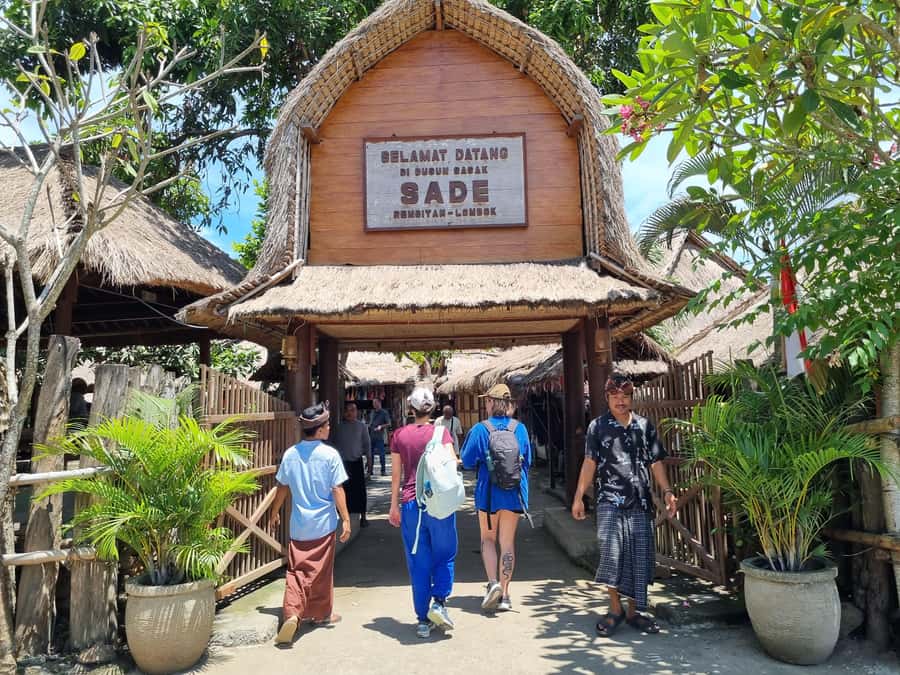 Lombok: Waterfall and Traditional Village Private Tour - Who this Lombok tour suits best