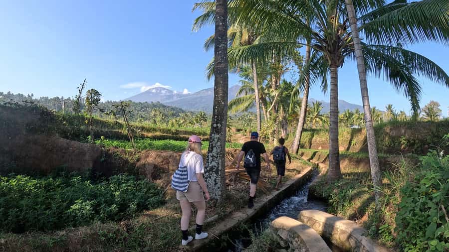 Lombok Waterfall Tour and Panorama Walk - Senaru Lunch Break: Time to Recharge (Lunch Is Not Included)