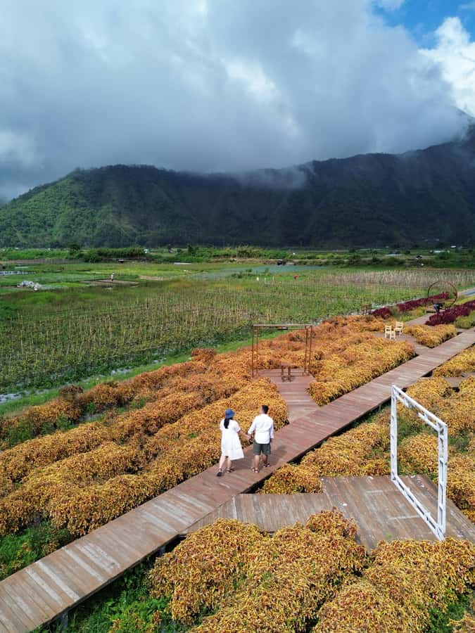 Lombok Waterfalls & Mountain Views Full-Day Tour - Guide Quality and Flexibility: Names You Might Hear