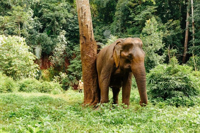 Lombok Wildlife Park Ticket - Lombok Wildlife Park admission: what your $39 ticket buys