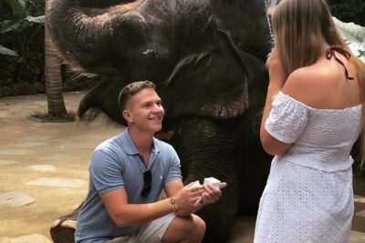 Lombok Wildlife Park Ticket - Inside the park: rainforest-like grounds and a sanctuary mindset