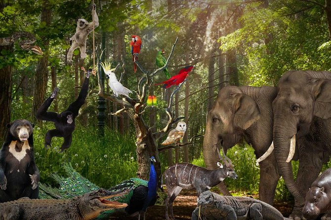 Lombok Wildlife Park Ticket - Timing and flow: fitting a 4 to 5 hour visit into your day