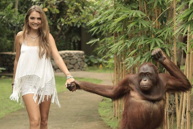 Lombok Wildlife Park Ticket - Food on-site: two eateries and smart timing