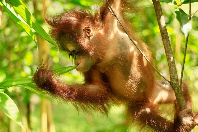 Lombok Wildlife Park Ticket - Staff guidance and the Ahmed factor
