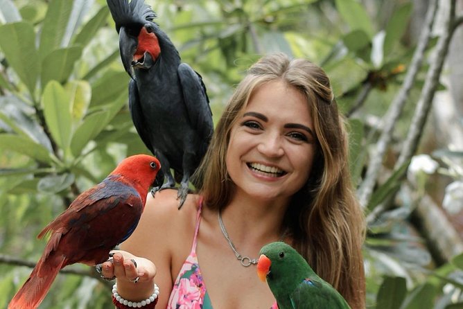 Lombok Wildlife Park Ticket - Practical value: when this ticket is a great buy