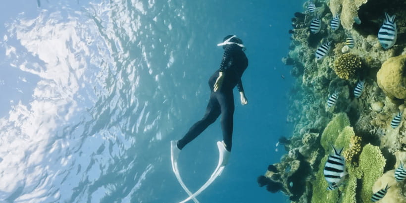 Lombok:Privat Snorkeling Gili Nanggu,Gili Sudak,Gili Kedis. - How the Private 3-Gili Snorkeling Day Works (and why it feels low-stress)