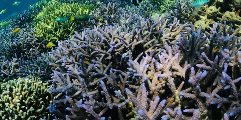 Lombok:Privat Snorkeling Gili Nanggu,Gili Sudak,Gili Kedis. - Comfort, timing, and how to avoid the usual day-tour mess