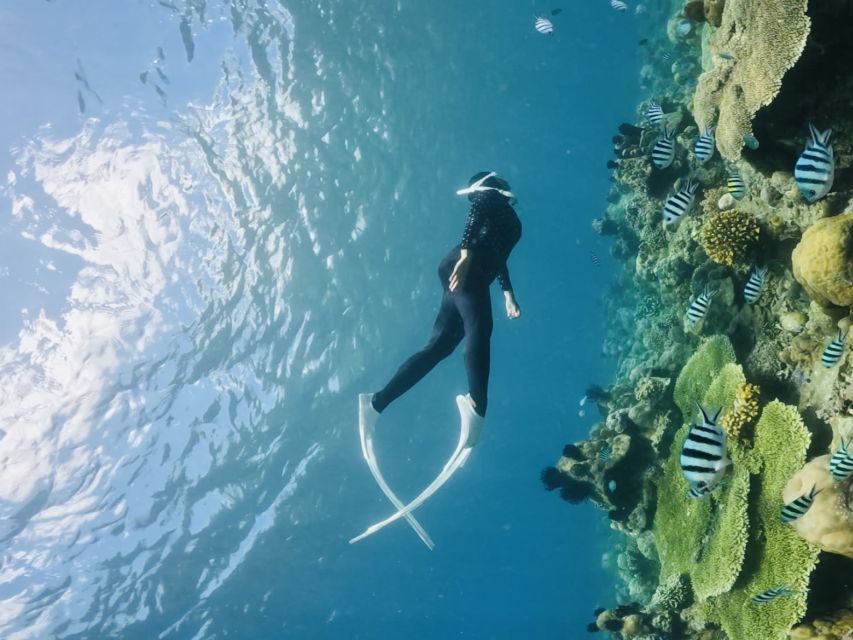 Lombok:Privat Snorkeling Gili Nanggu,Gili Sudak,Gili Kedis. - Small practical tips so you enjoy every minute