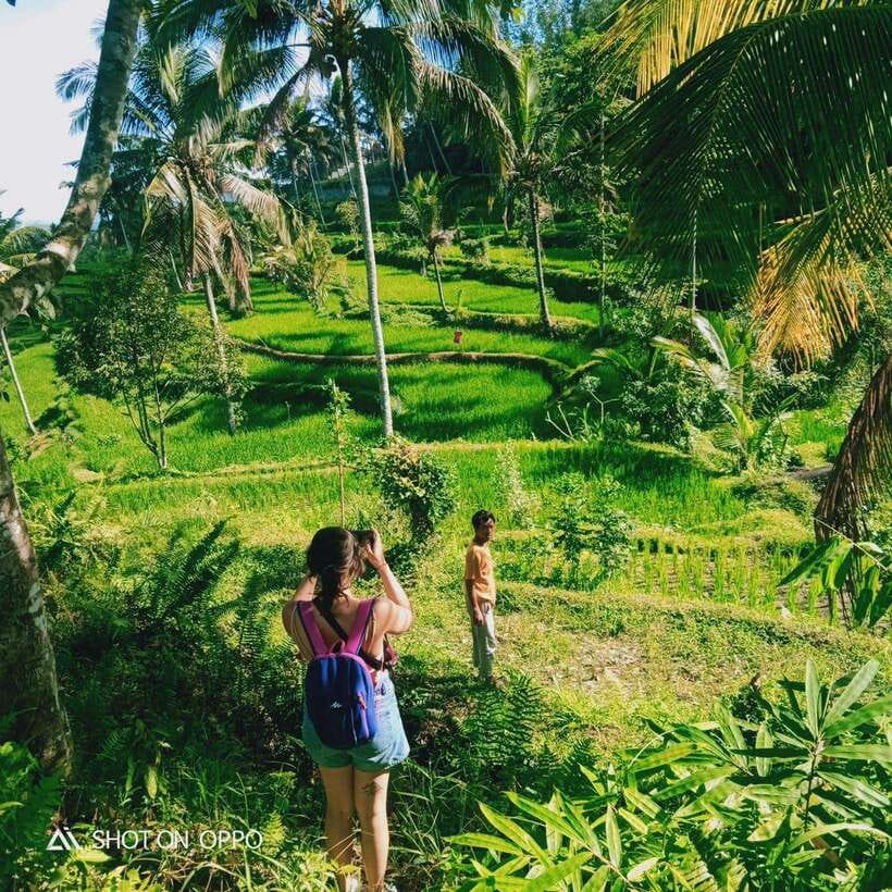 Lombok:Sendang Gile,Tiu Kelep Waterfall & Selong Hill Tour - Price and Value: Is $50 Fair for What You Get?