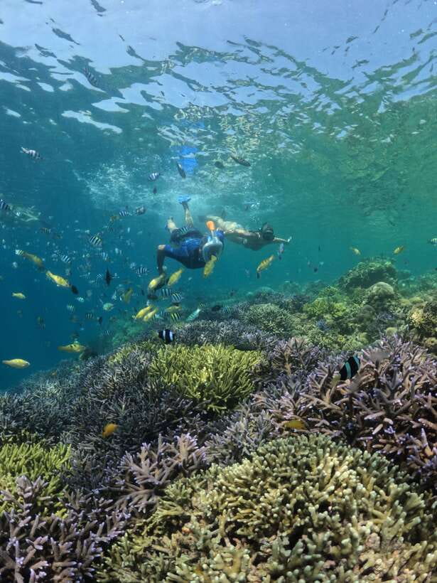 Lombok:Snorkeling trip to Gili Nanggu,Gili Sudak, Gili Kedis - Key things to know before you go