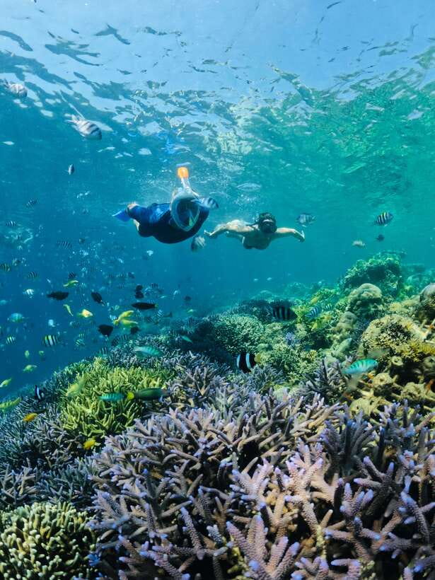 Lombok:Snorkeling trip to Gili Nanggu,Gili Sudak, Gili Kedis - From Lombok pickup to Sekotong: how the day flows