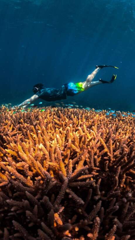 Lombok:Snorkeling trip to Gili Nanggu,Gili Sudak, Gili Kedis - Who this Lombok Gili snorkeling trip suits best (and who should skip)