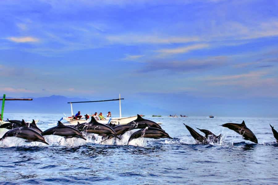 lovina bali: Dolphin watching, waterfall and local lunch - Key things I’d plan around before you go