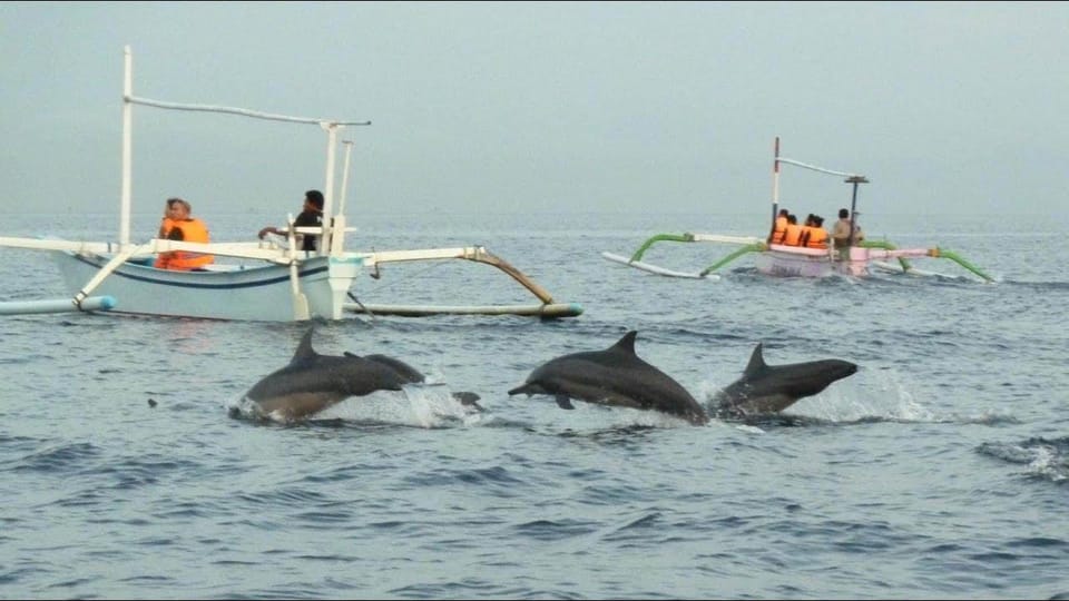 lovina bali: Dolphin watching, waterfall and local lunch - Timing, Pickup, and the Little Things That Matter