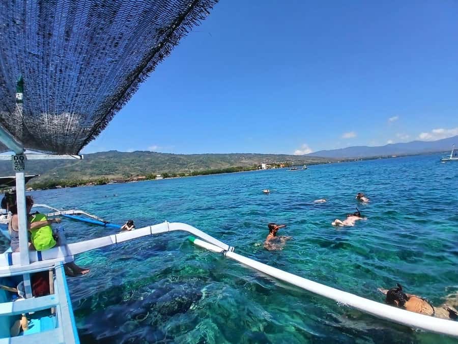 Lovina/BALI : SPECIAL Dolphin Watching,Swimming,Snorkeling - Key things to know before you go