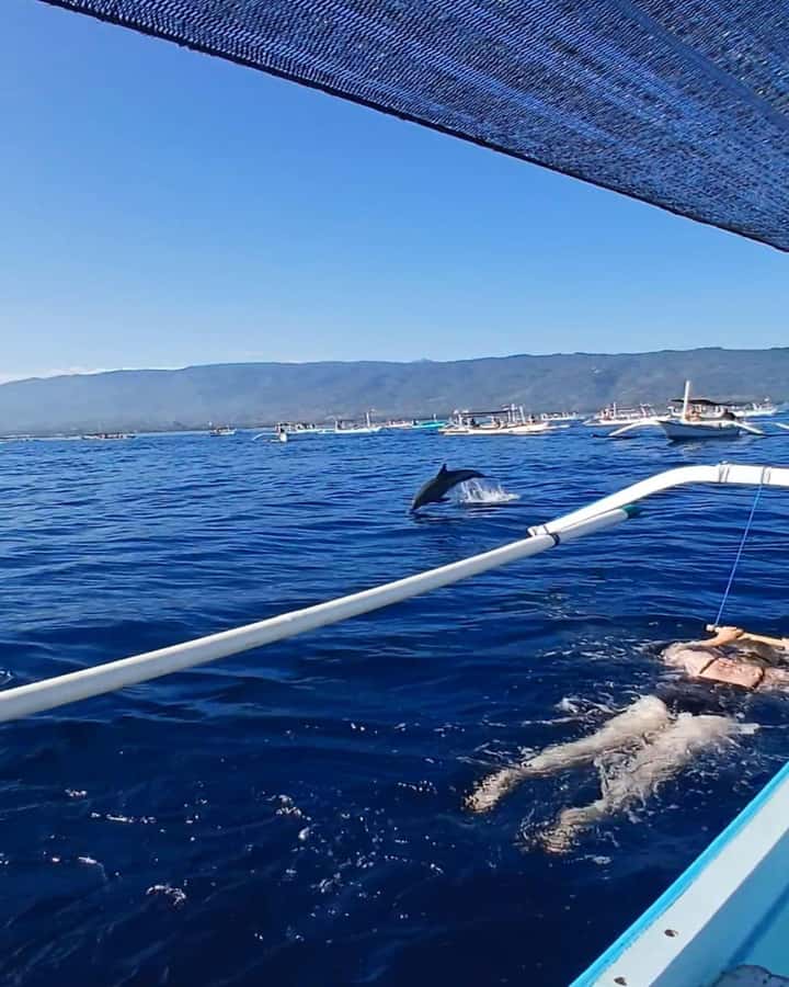 Lovina/BALI : SPECIAL Dolphin Watching,Swimming,Snorkeling - Lovina Beach: why this dolphin trip feels more “real”