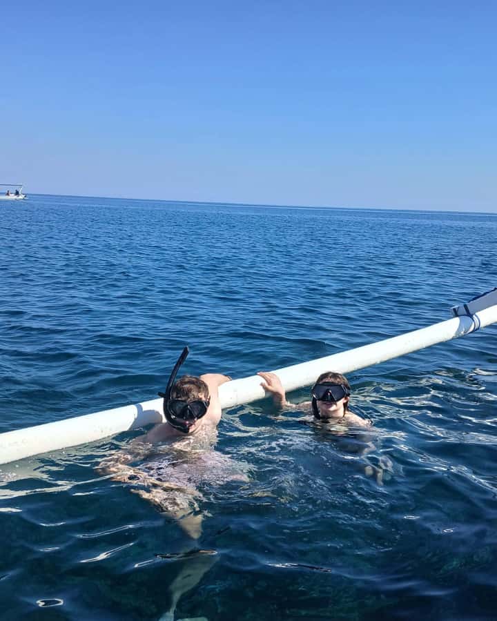 Lovina/BALI : SPECIAL Dolphin Watching,Swimming,Snorkeling - Swimming with dolphins in a controlled environment