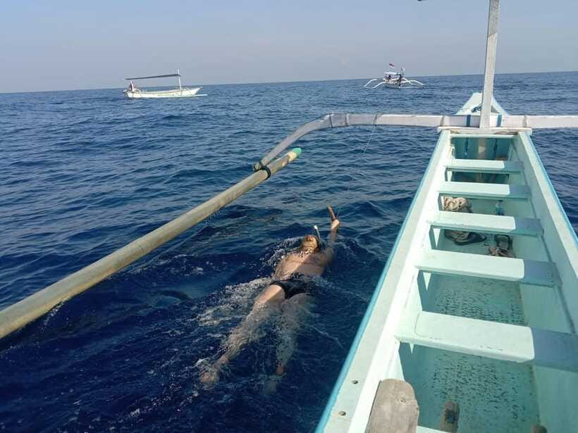 Lovina/BALI : SPECIAL Dolphin Watching,Swimming,Snorkeling - Who this tour suits best (and who should think twice)