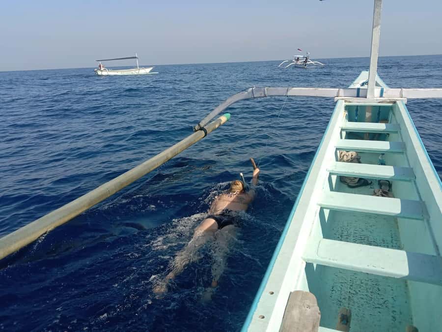 Lovina/BALI : SPECIAL Dolphin Watching,Swimming,Snorkeling - The 3-in-1 plan: dolphin watching, swimming, and snorkeling