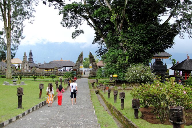Lovina Dolphin Watching, Swimming, and Snorkeling Experience - Getting there from Ubud (and why it matters)