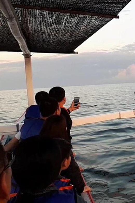 Lovina Dolphin Watching + Swimming with dolphin Private tour - Swimming with wild dolphins: how the safety aid changes the experience
