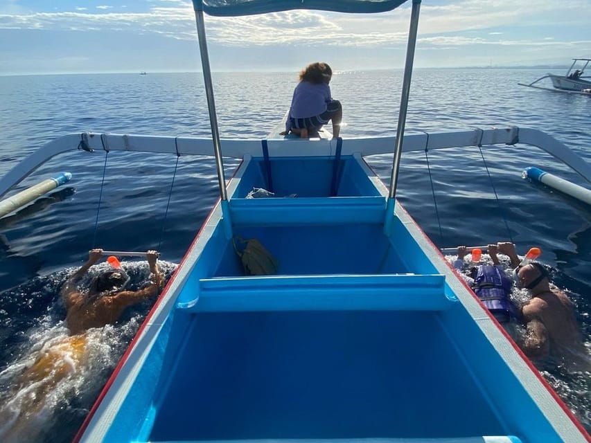 Lovina Dolphin Watching + Swimming with dolphin Private tour - How long it really takes: the dolphin adventure vs. the full day label
