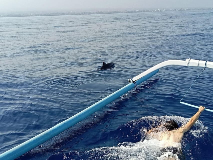 Lovina Dolphin Watching + Swimming with dolphin Private tour - Price at about $26: what value looks like here