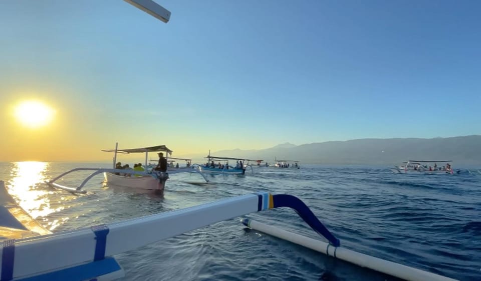 Lovina Dolphin Watching + Swimming with dolphin Private tour - Boat traffic reality: how to protect your dolphin viewing