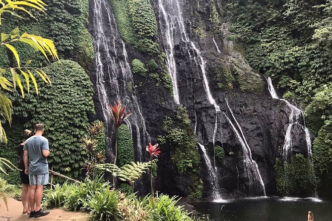 Lovina Sunrise Dolphin & Waterfall Tour - Price and Value: What $79 Buys You in Real Time