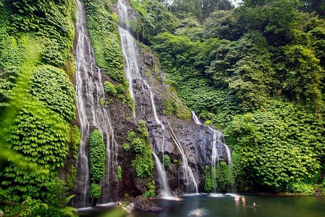 Lovina Sunrise Dolphin & Waterfall Tour - Who This Tour Fits Best (and Who Should Rethink It)