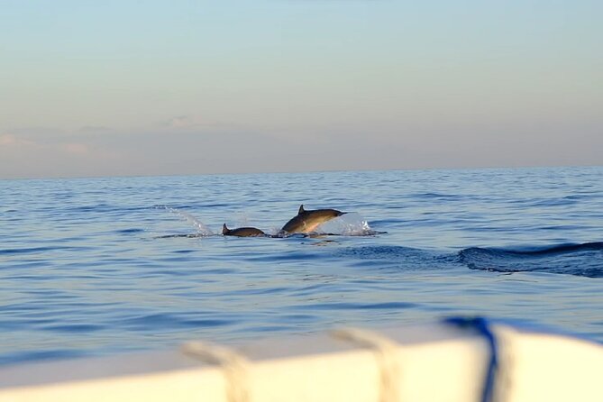 Lovina Sunrise Dolphin with option snorkeling and waterfall - Snorkeling Option: When It’s Worth Adding