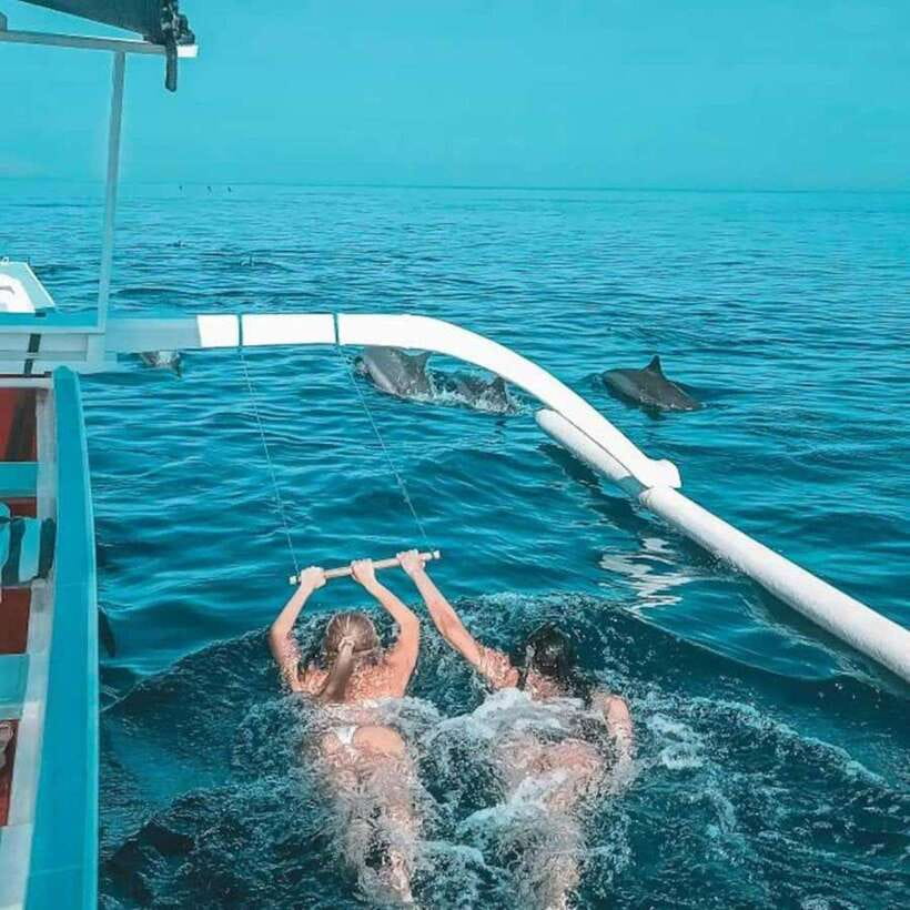Lovina: Watching Dolphin, Swimming Dolphin Bali Tour - Who should book this Lovina dolphin tour (and who shouldn’t)