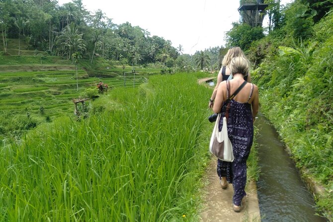 Magic Of Ubud Temple Swing And Waterfall Private Guided Tour - Stop 6: Tirta Empul Temple—holy spring rituals and why people come