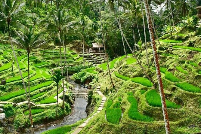 Magic Of Ubud Temple Swing And Waterfall Private Guided Tour - Seminyak pickup and A/C private transport: why it’s worth caring about