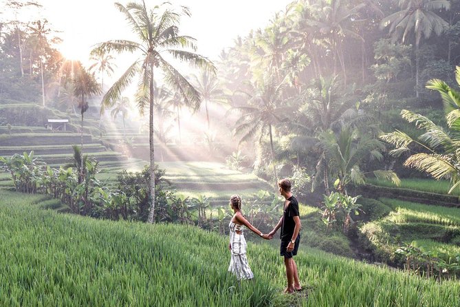 Magical Ubud Rice Terrace Tour (Private & All-Inclusive) - Seminyak pickup and the 10-hour rhythm you should expect