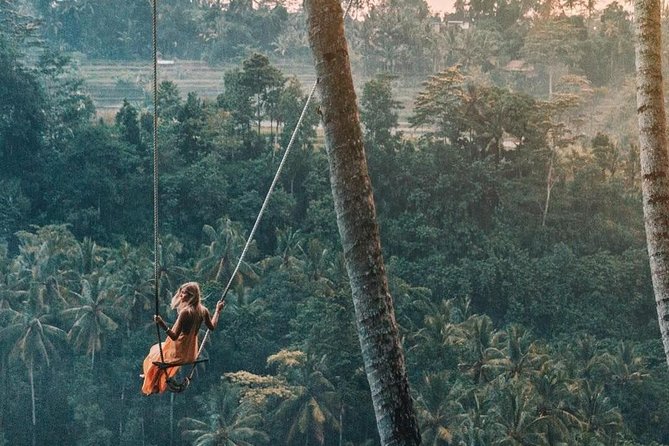 Magical Ubud Rice Terrace Tour (Private & All-Inclusive) - Stop 4: Tegalalang rice terrace for irrigation and panoramic viewpoints