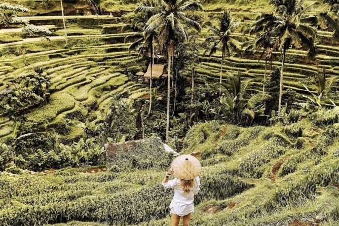 Magical Ubud Rice Terrace Tour (Private & All-Inclusive) - What “all-inclusive” really means for your wallet