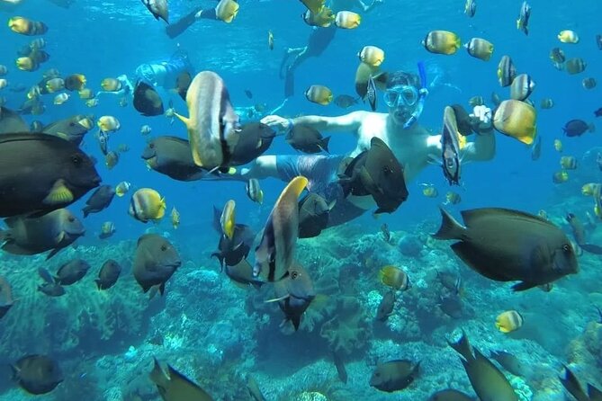 Manta Bay Snorkeling Adventure with Kelingking Beach Nusa Penida All Inclusive - Key highlights at a glance