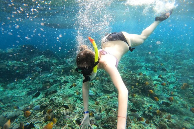 Manta Bay Snorkeling Adventure with Kelingking Beach Nusa Penida All Inclusive - From Jimbaran to Sanur to Nusa Penida: how the day really moves