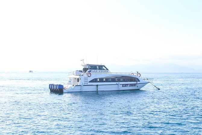 Manta Bay Snorkeling Adventure with Kelingking Beach Nusa Penida All Inclusive - Crystal Bay and Gamat Bay: where the second snorkeling push can pay off