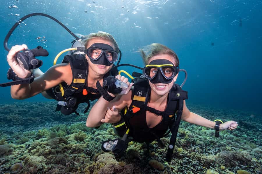 Manta Dive Gili Trawangan: Discover Scuba Diving - The Ocean Session at Up to 12 Meters: What You’ll See and What You’ll Feel