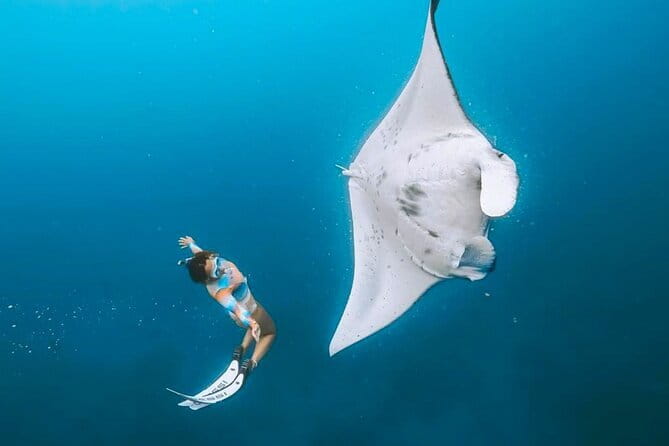 Manta Point Snorkeling & West Nusa Penida Island Day Tour - Key points you’ll care about