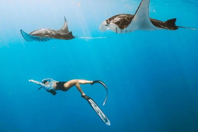 Manta Point Snorkeling & West Nusa Penida Island Day Tour - Manta Point snorkeling: what to expect on the water